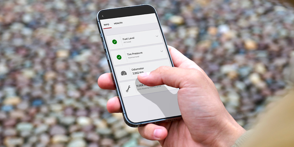 Alfa Connect Services