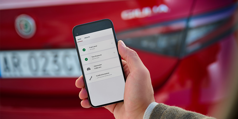 Servicios Alfa Connect