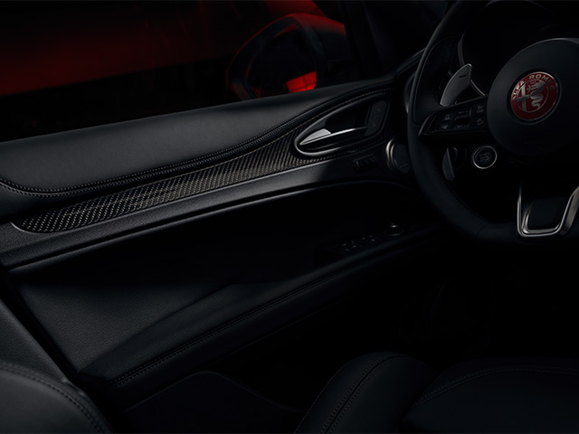 Leather dashboard and door panels