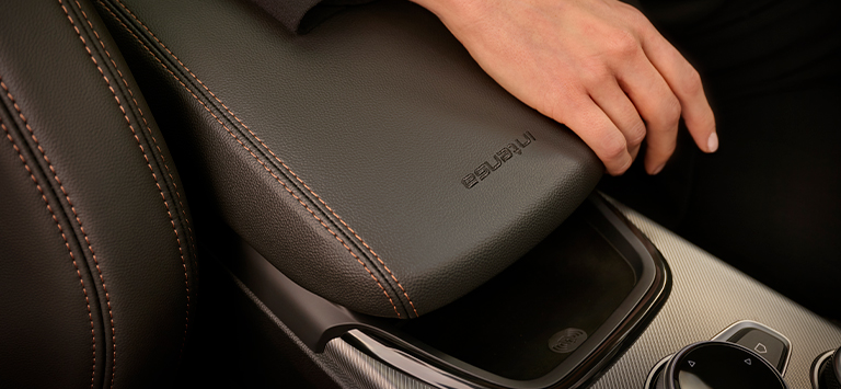 Reposabrazos del Alfa Romeo Stelvio Intensa