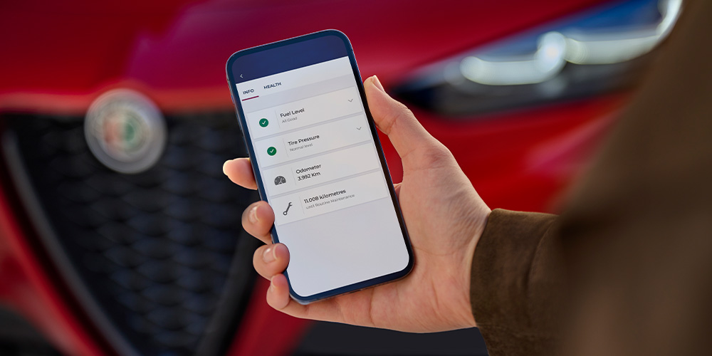 Servicios Alfa Connect