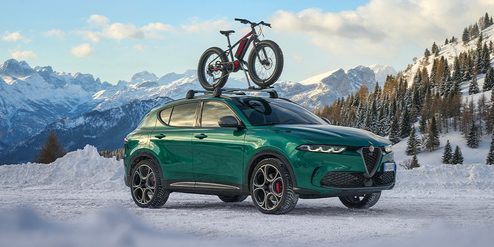 Bike carrier