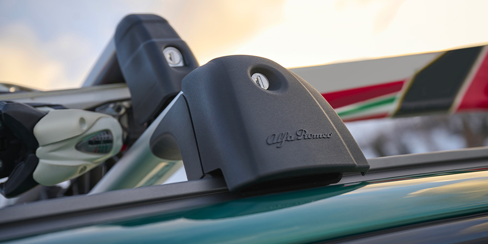 Ski carrier